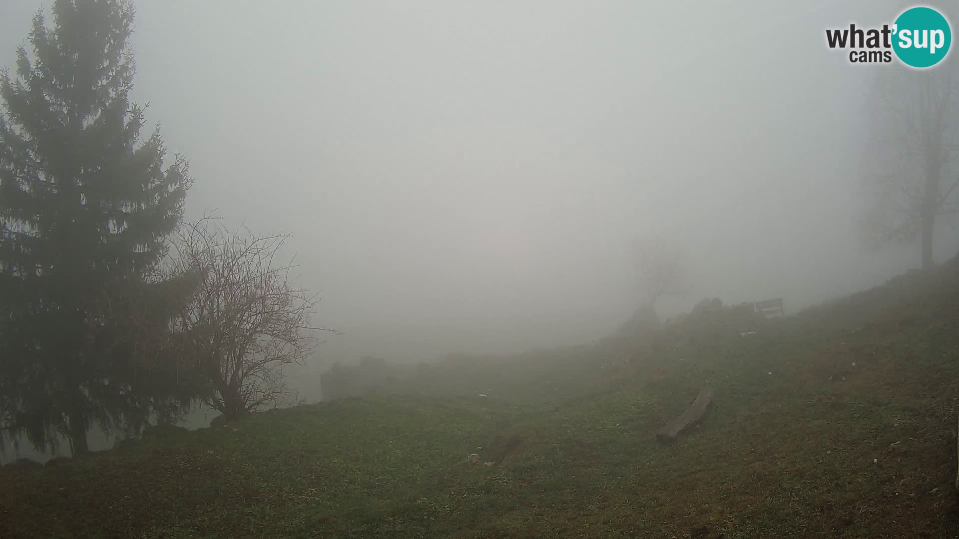 Slajka webcam | Gorenja Vas | Slowenien