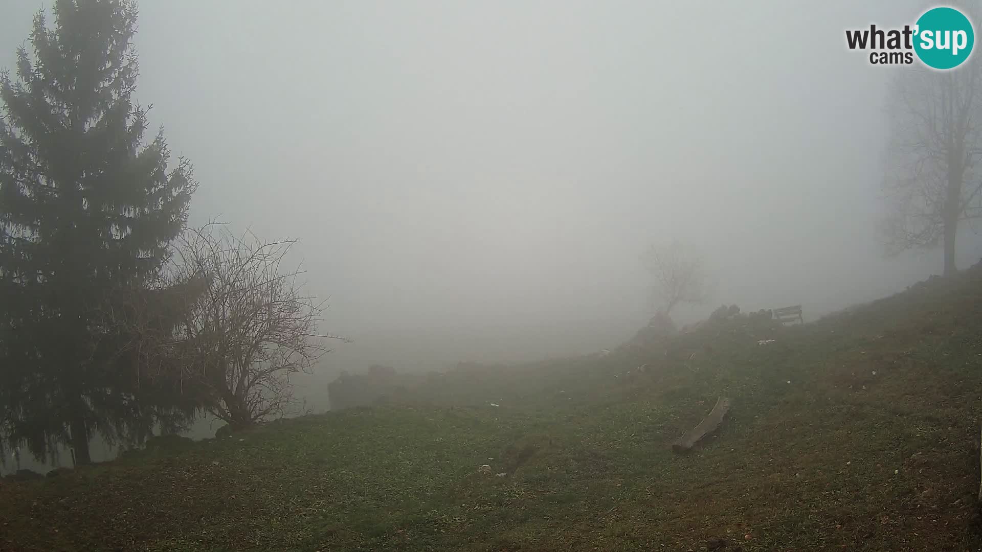 Slajka webam | Gorenja vas | Slovenia