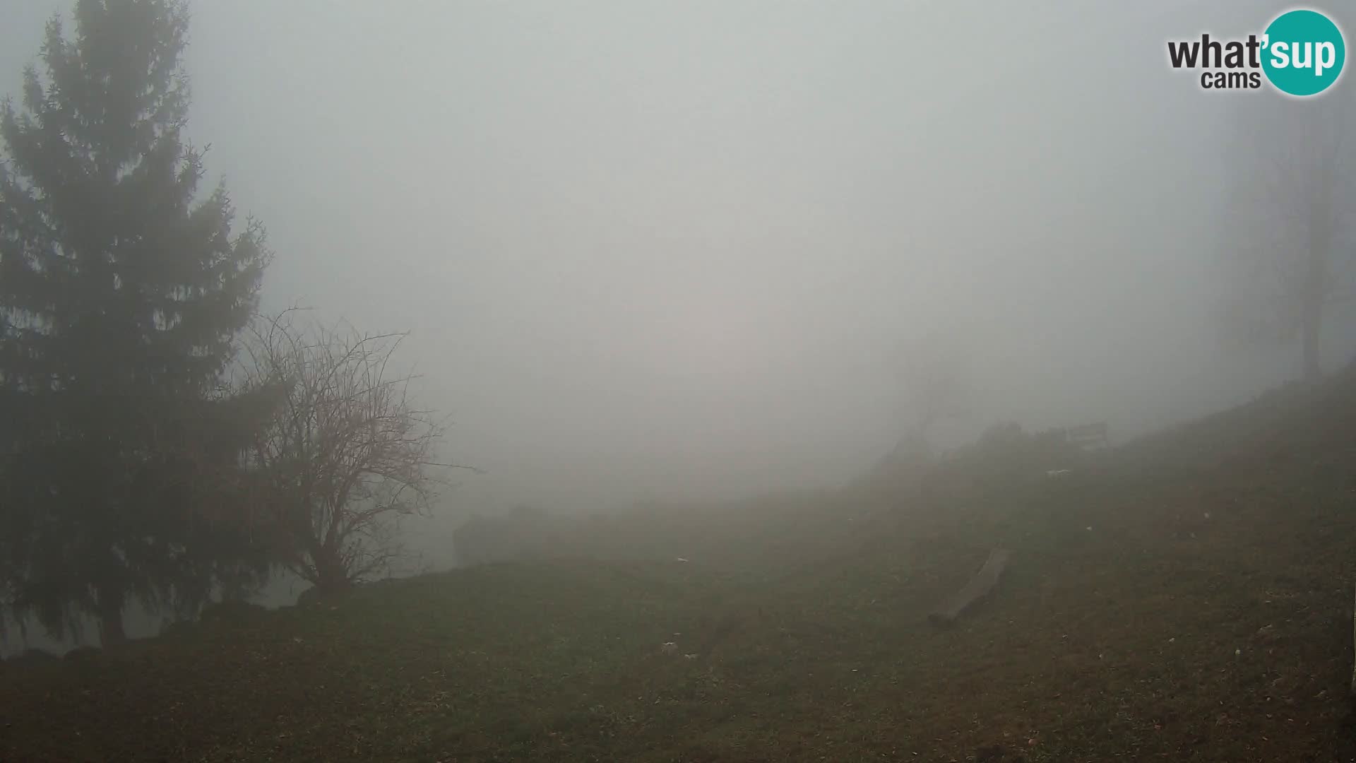 Slajka webam | Gorenja vas | Slovenia