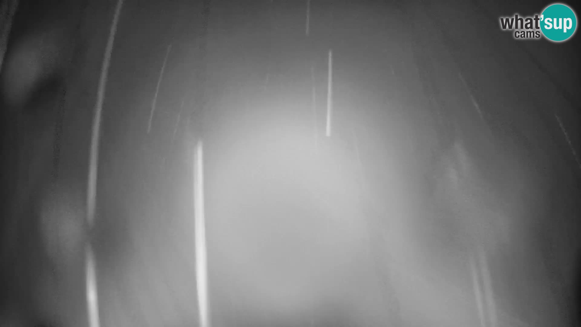 Slajka webam | Gorenja vas | Slovenia