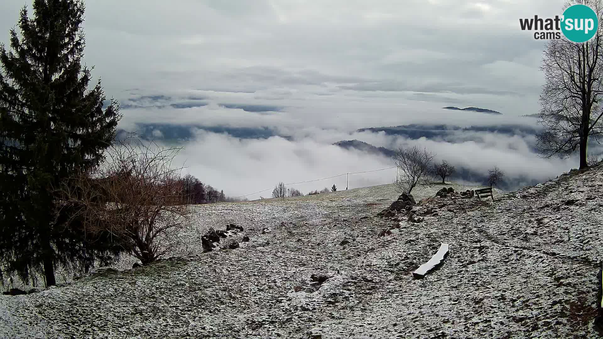 Slajka webam | Gorenja vas | Slovenia