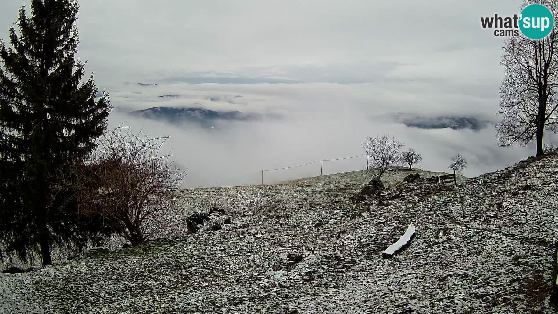 Slajka webcam | Gorenja Vas | Slowenien