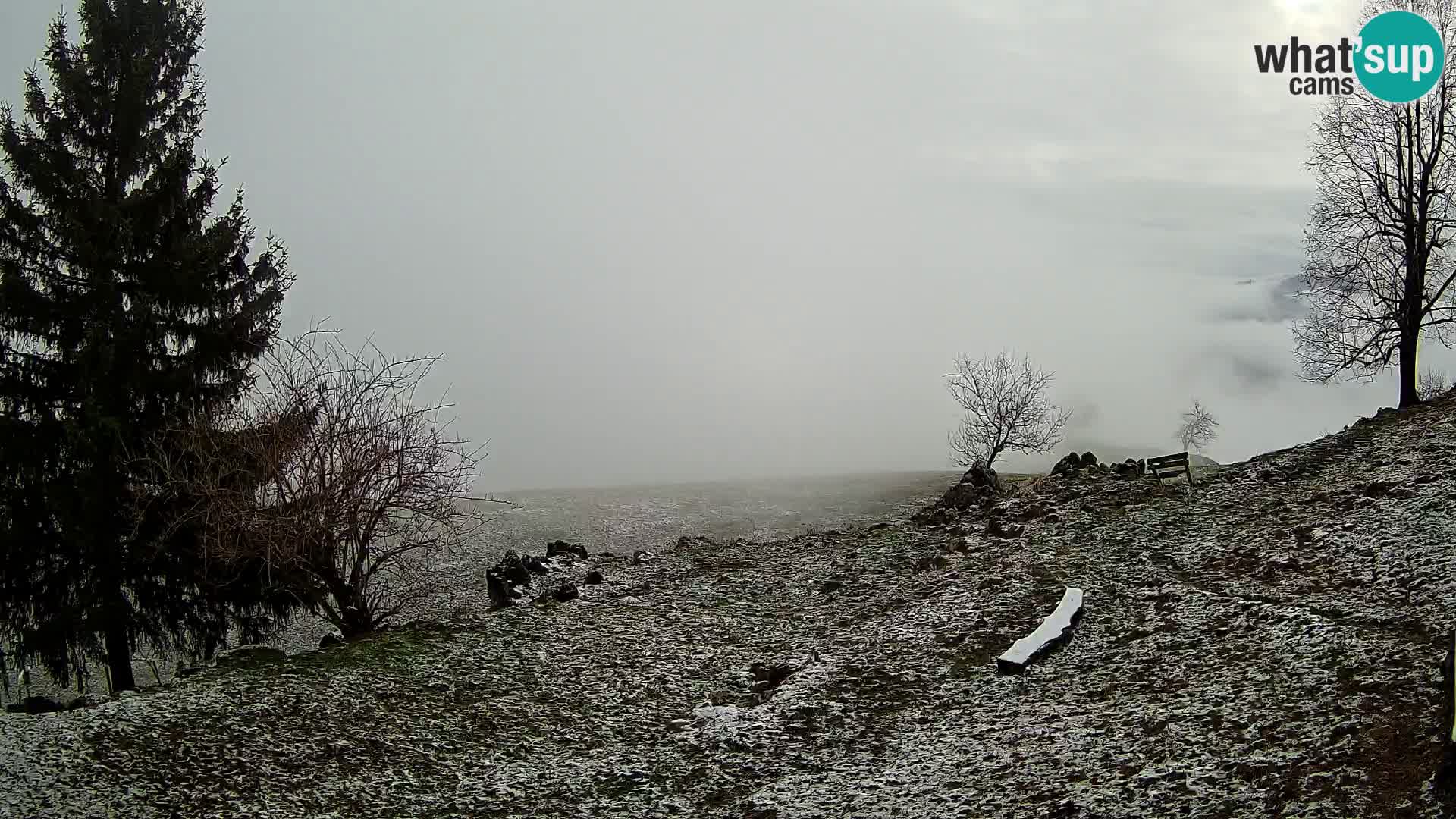 Slajka camera en vivo | Gorenja Vas | Eslovenia