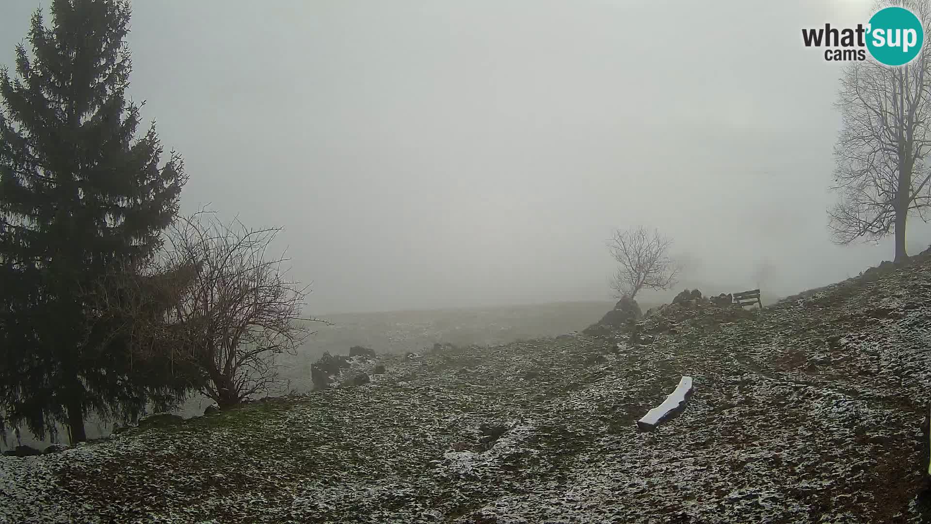 Slajka webcam | Gorenja Vas | Slowenien