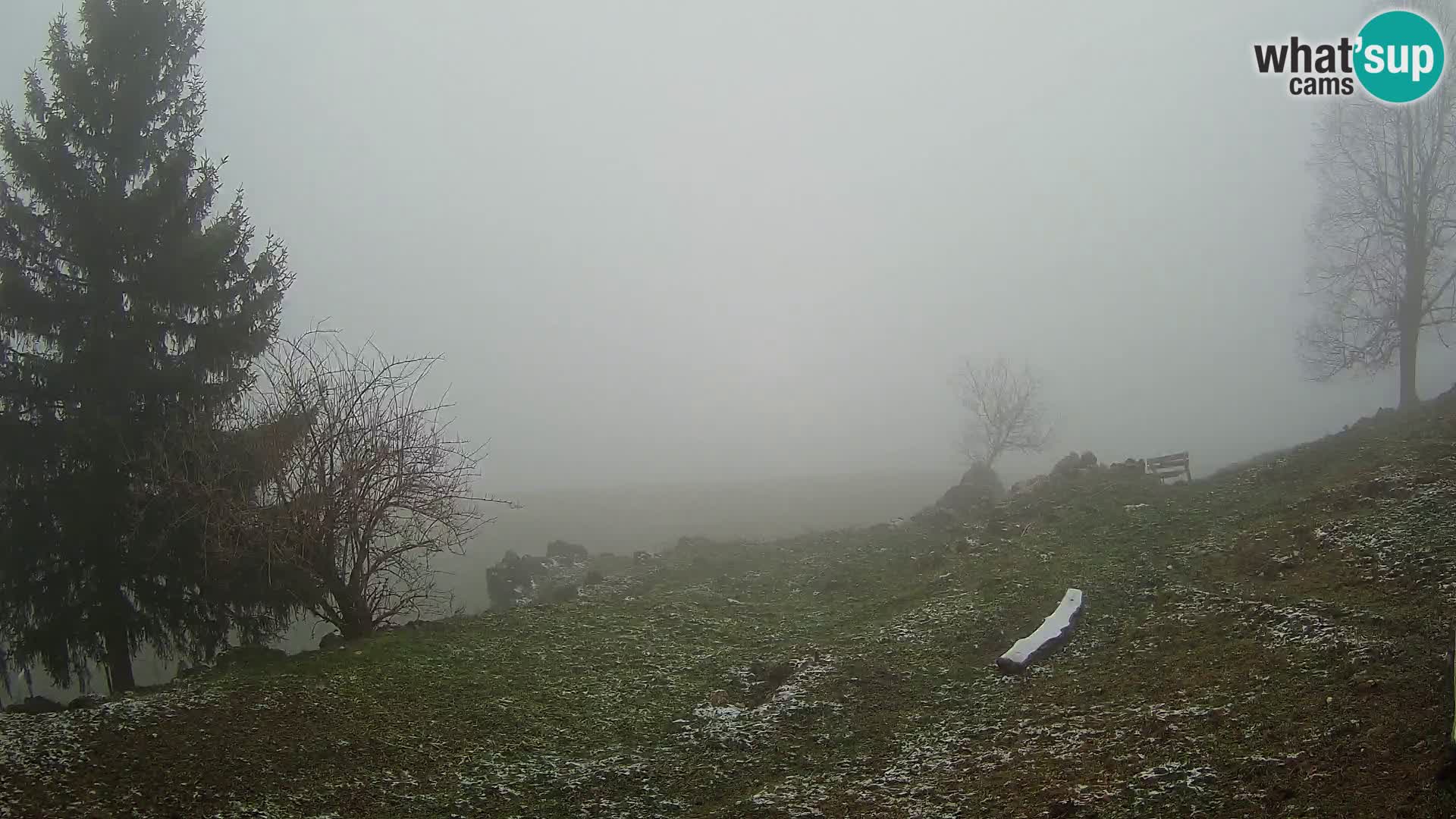 Slajka camera en vivo | Gorenja Vas | Eslovenia