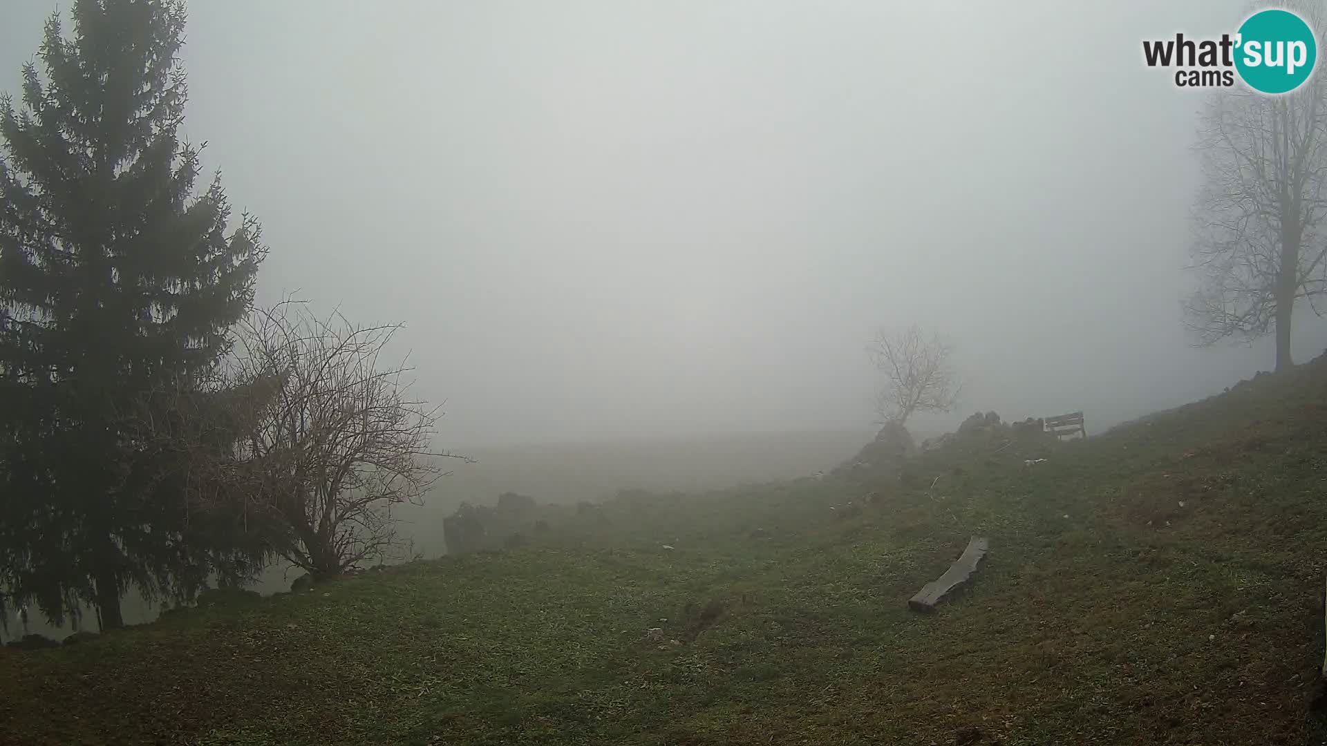 Slajka livecam | Gorenja Vas | Slovénie