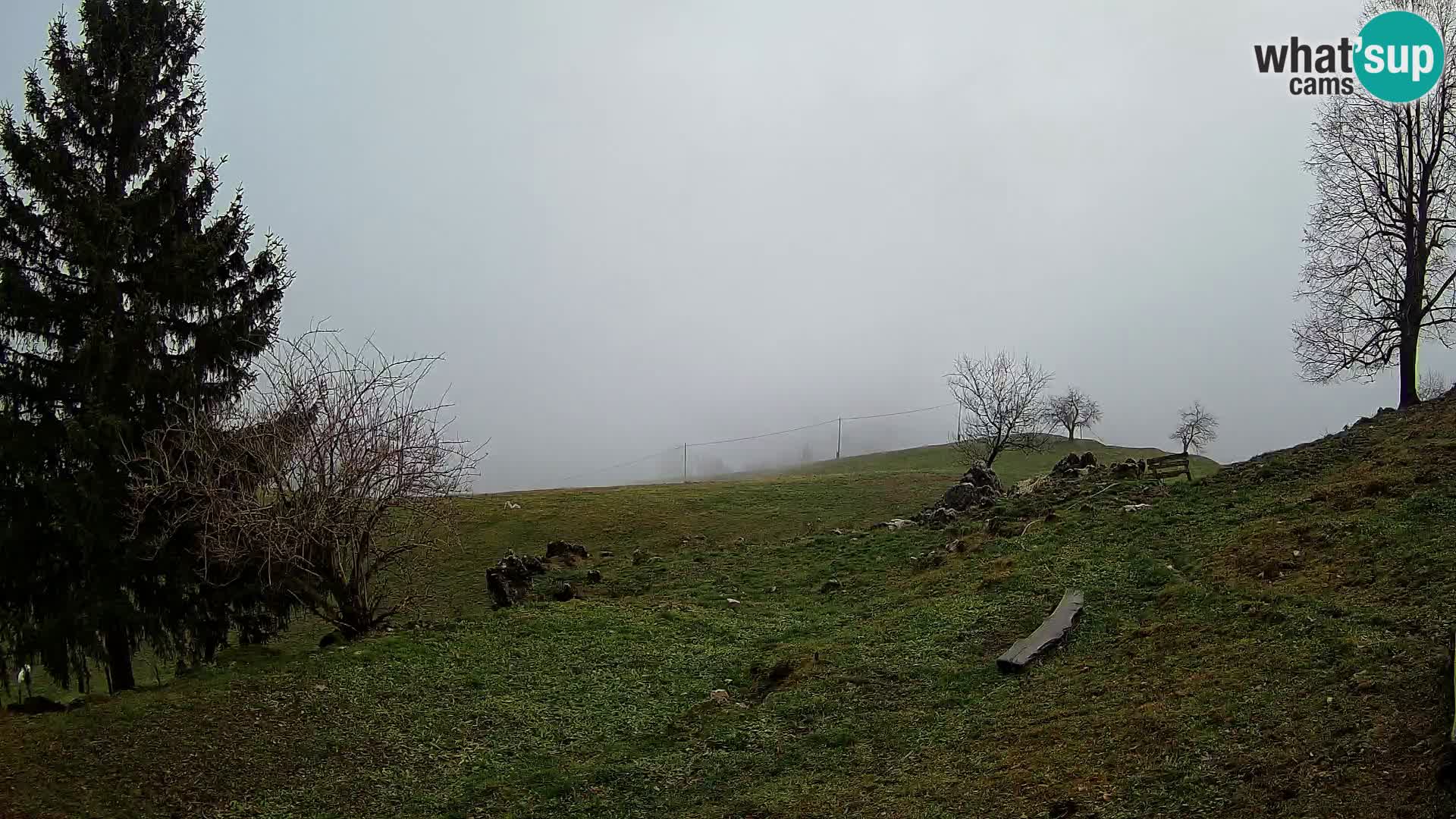 Slajka webam | Gorenja vas | Slovenia