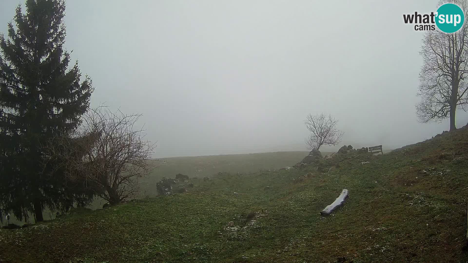 Slajka livecam | Gorenja Vas | Slovénie