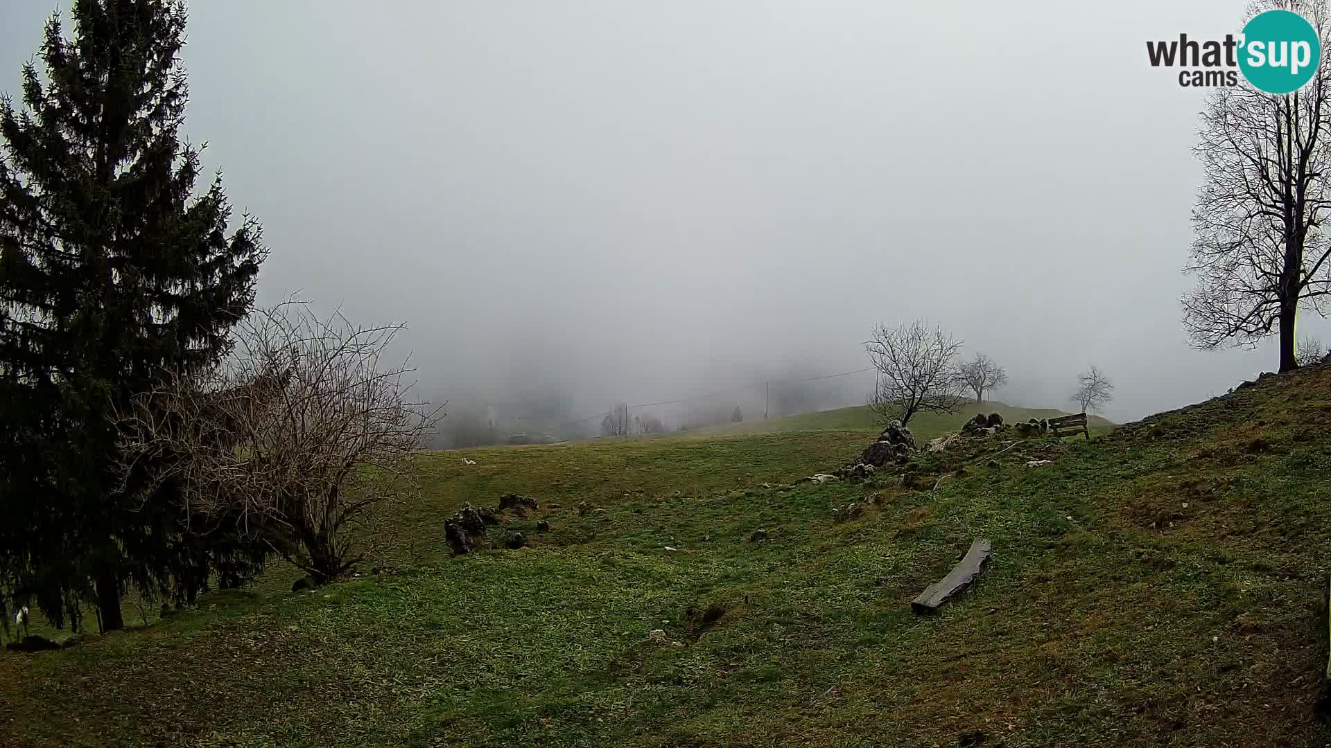 Slajka webam | Gorenja vas | Slovenia