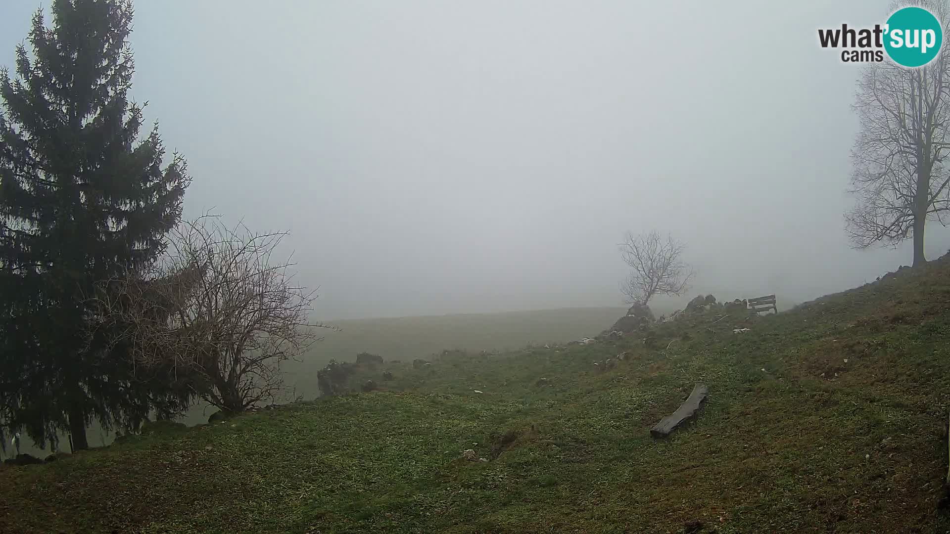 Slajka livecam | Gorenja Vas | Slovénie