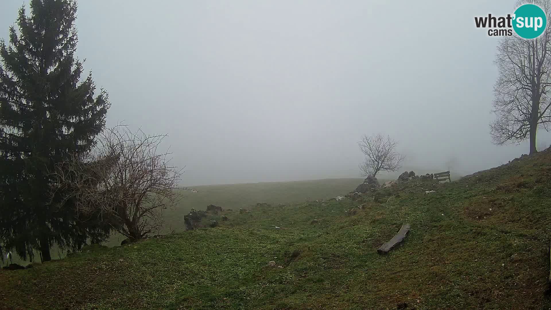 Slajka webam | Gorenja vas | Slovenia