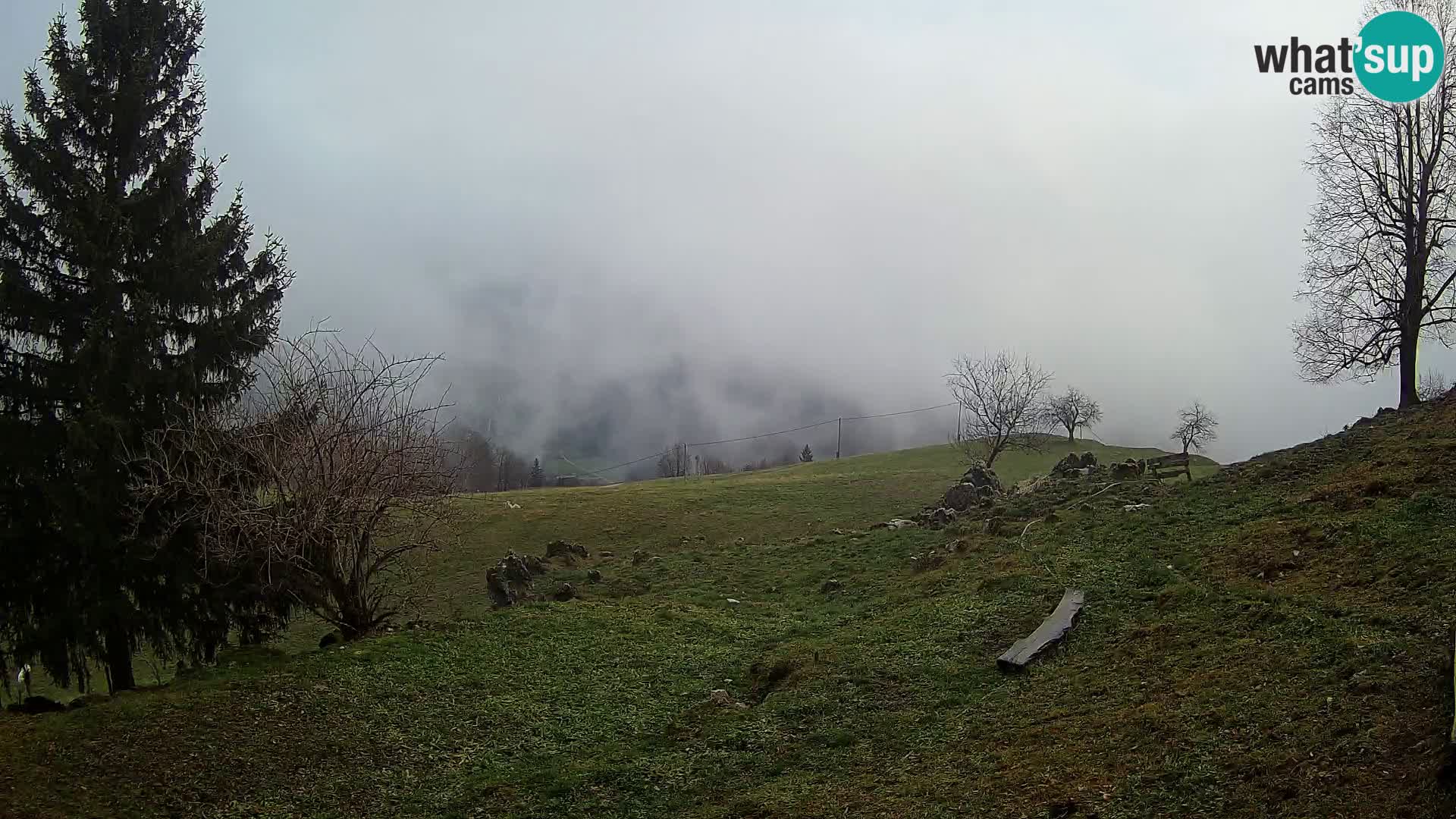 Slajka livecam | Gorenja Vas | Slovénie