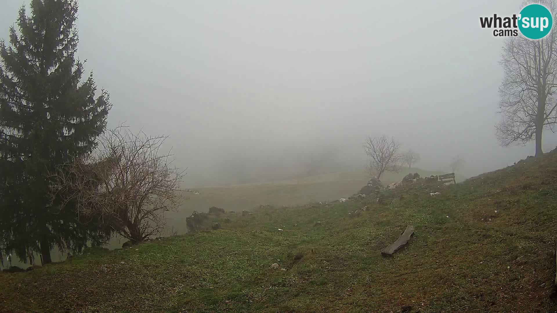 Slajka camera en vivo | Gorenja Vas | Eslovenia