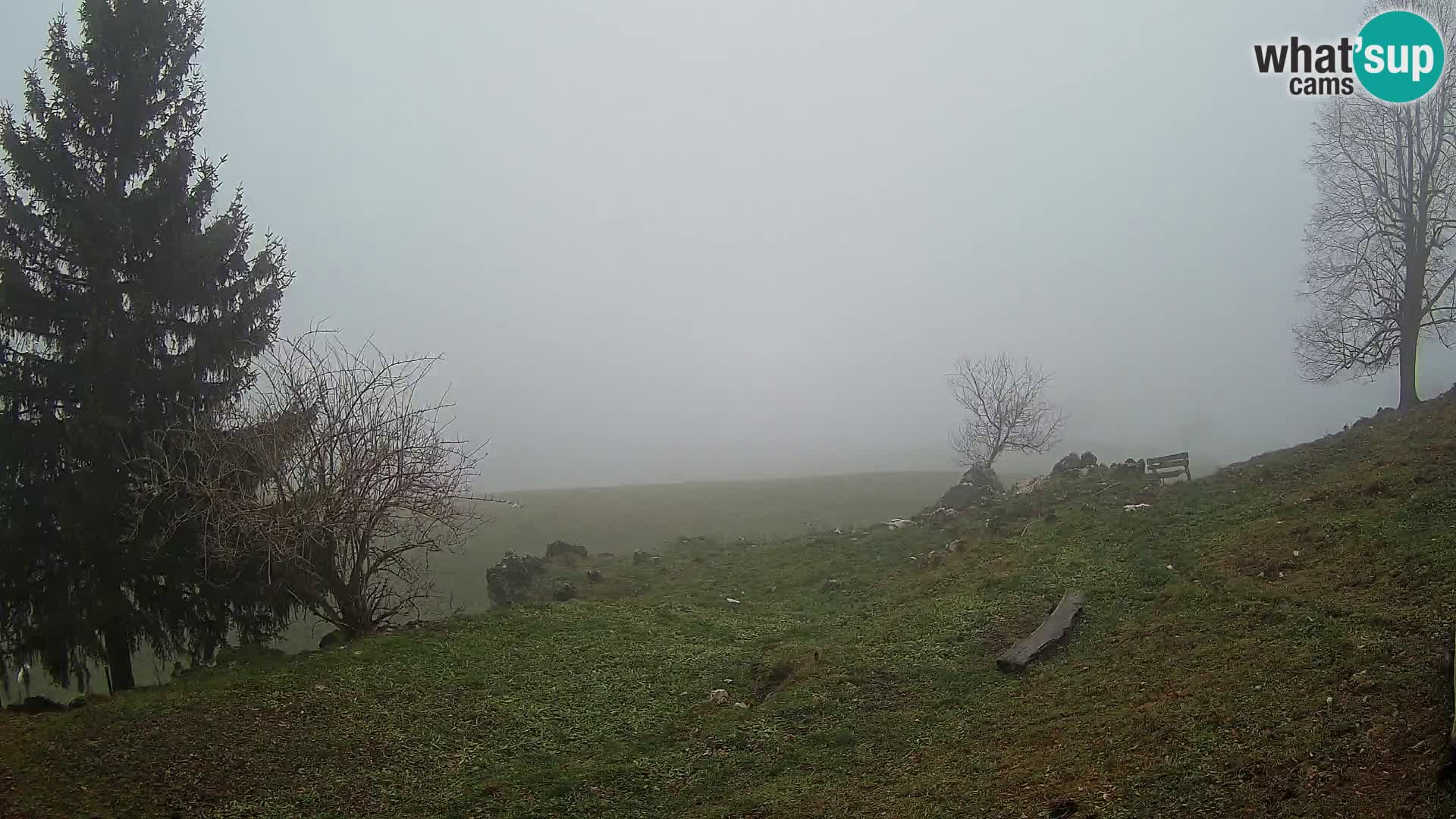 Slajka livecam | Gorenja Vas | Slovénie