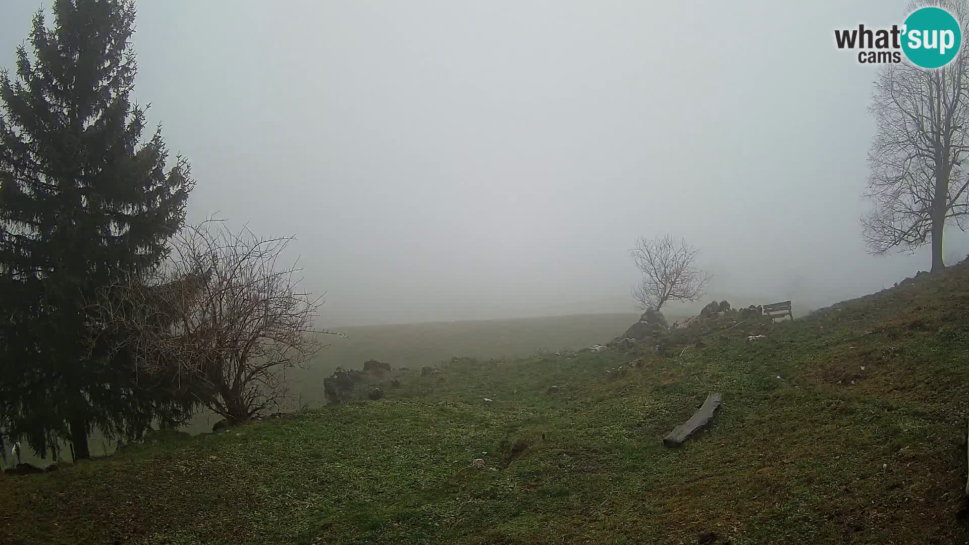 Slajka web kamera | Gorenja Vas | Slovenija