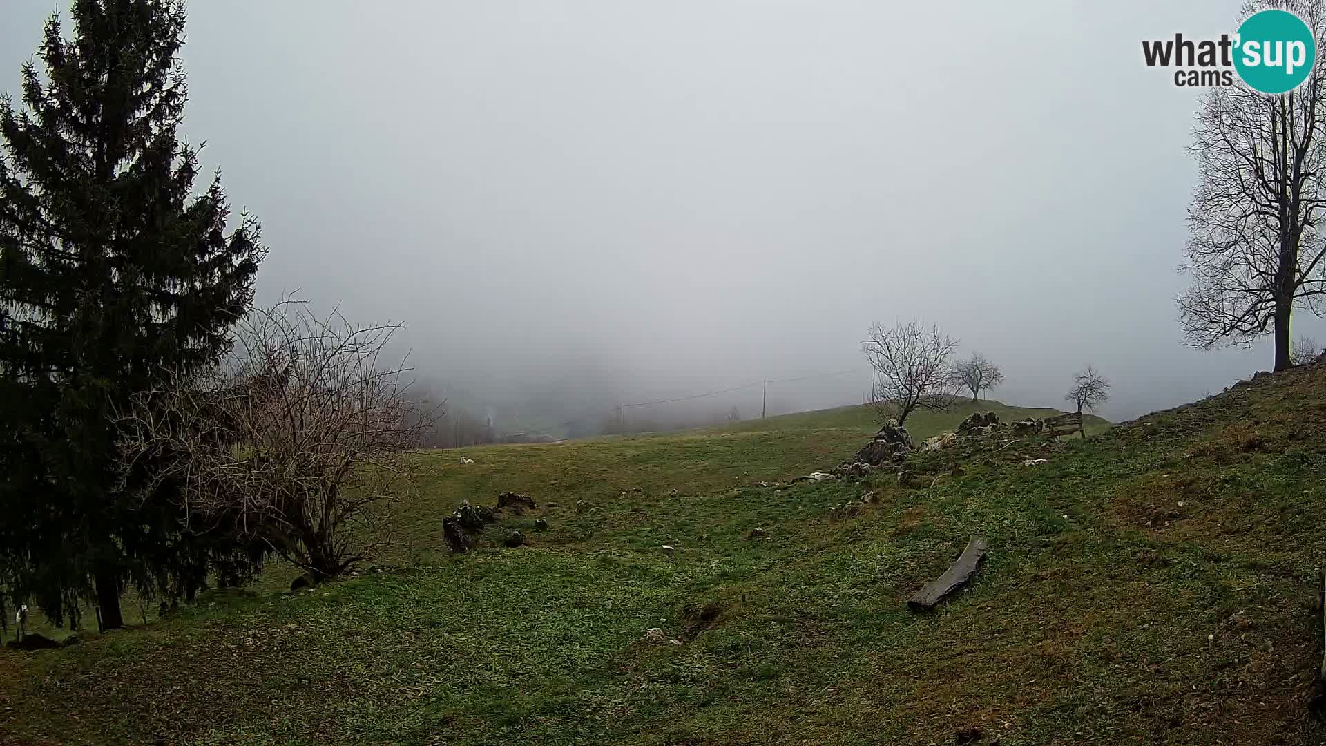 Slajka webam | Gorenja vas | Slovenia