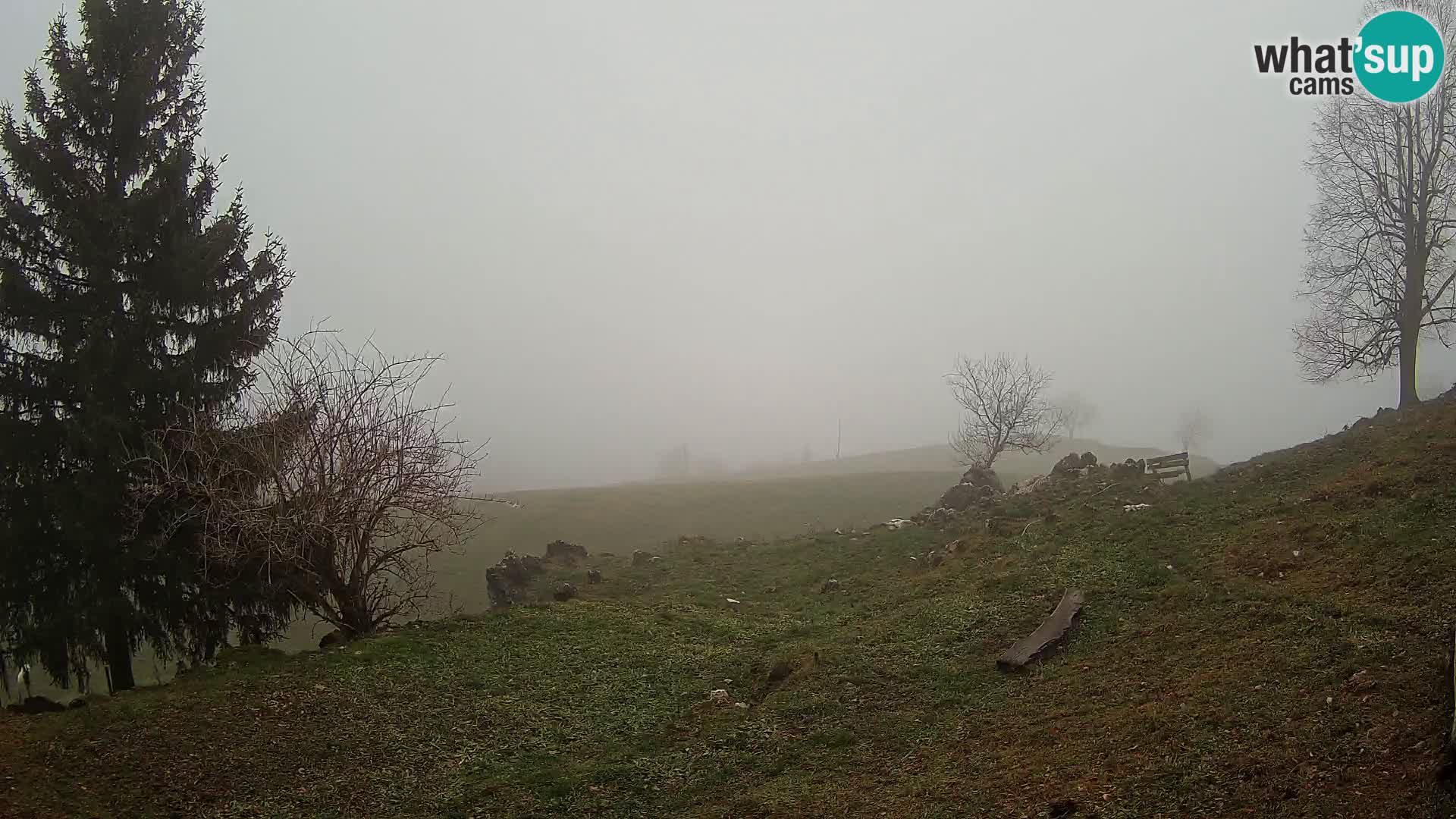 Slajka webam | Gorenja vas | Slovenia