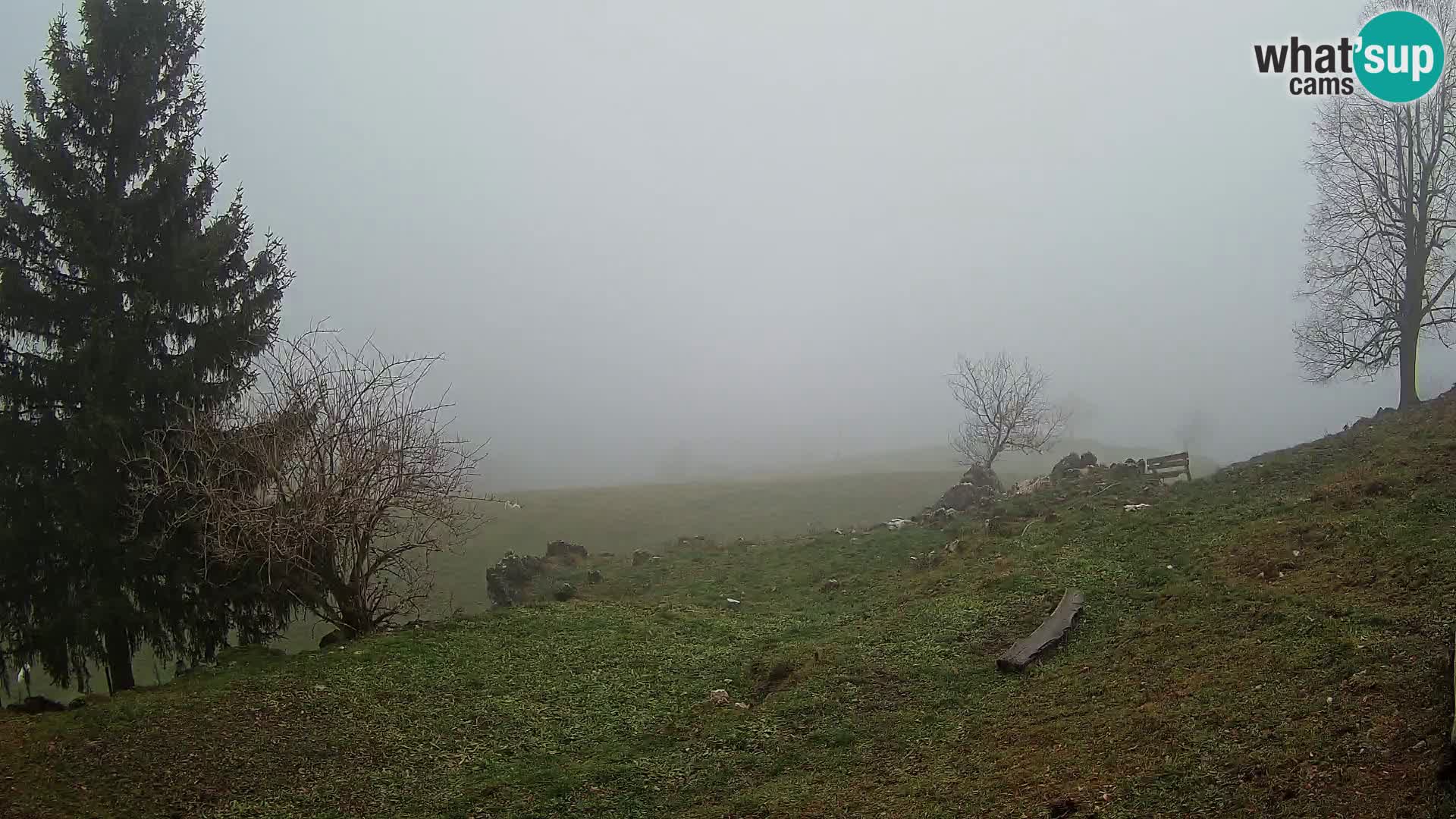 Slajka webam | Gorenja vas | Slovenia