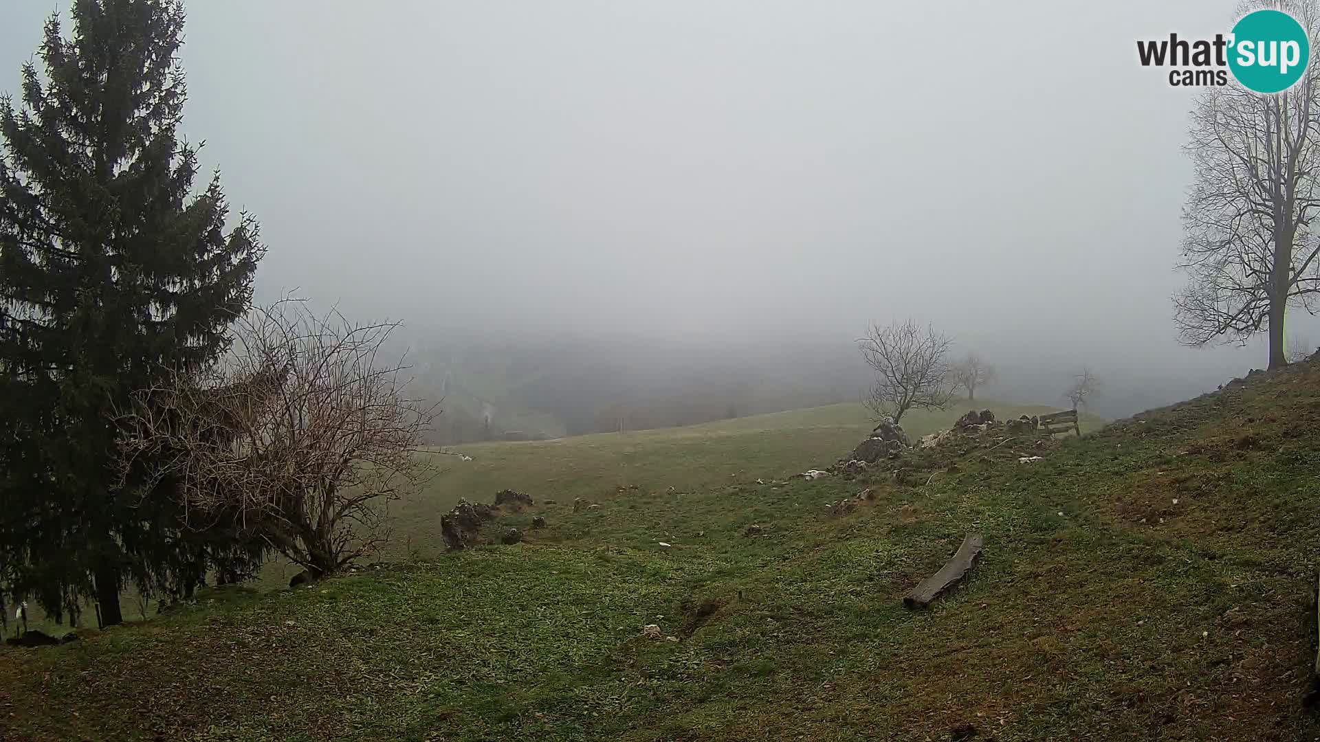 Slajka camera en vivo | Gorenja Vas | Eslovenia