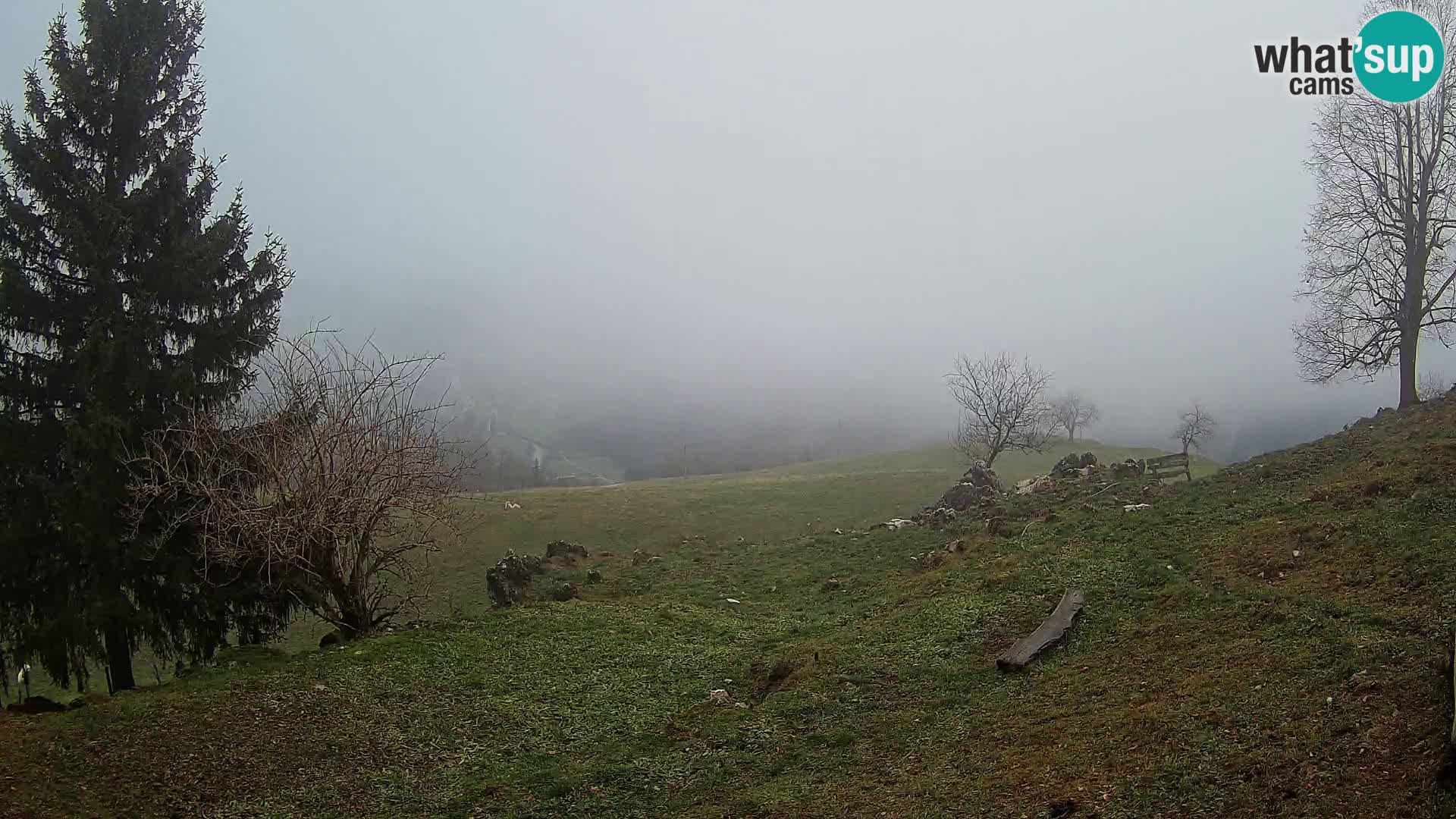 Slajka camera en vivo | Gorenja Vas | Eslovenia