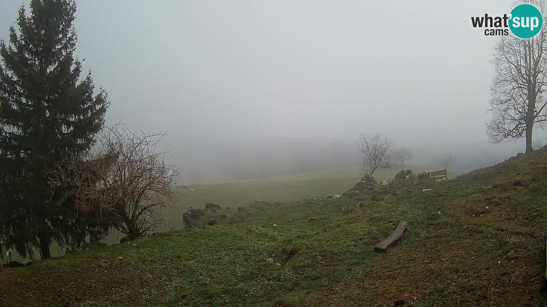 Slajka camera en vivo | Gorenja Vas | Eslovenia