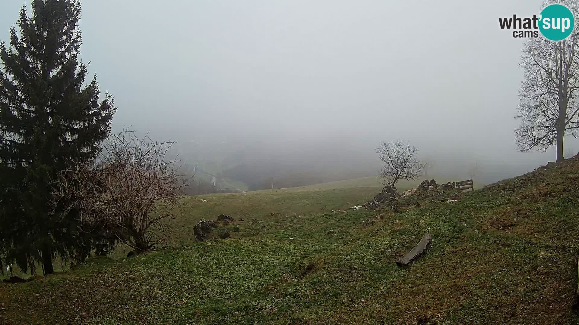 Slajka webam | Gorenja vas | Slovenia