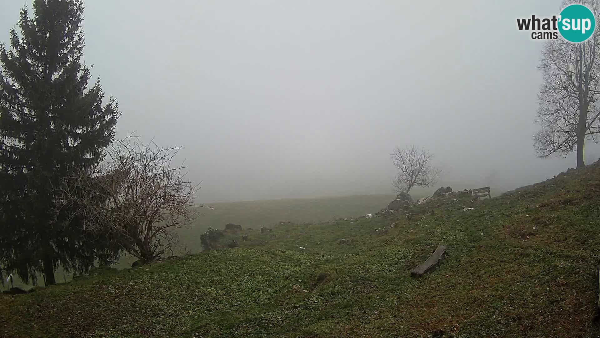 Slajka livecam | Gorenja Vas | Slovénie