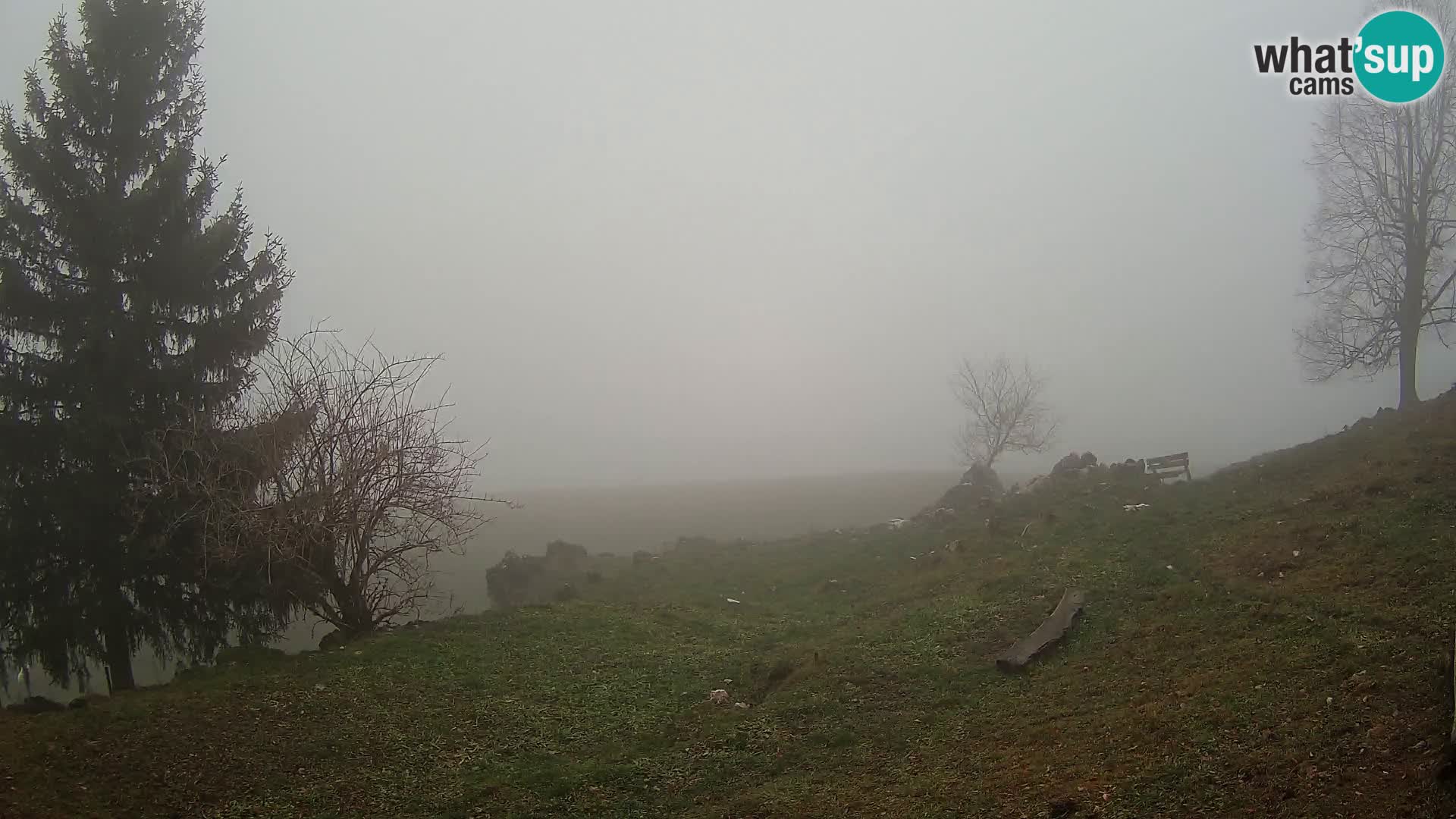 Slajka webam | Gorenja vas | Slovenia