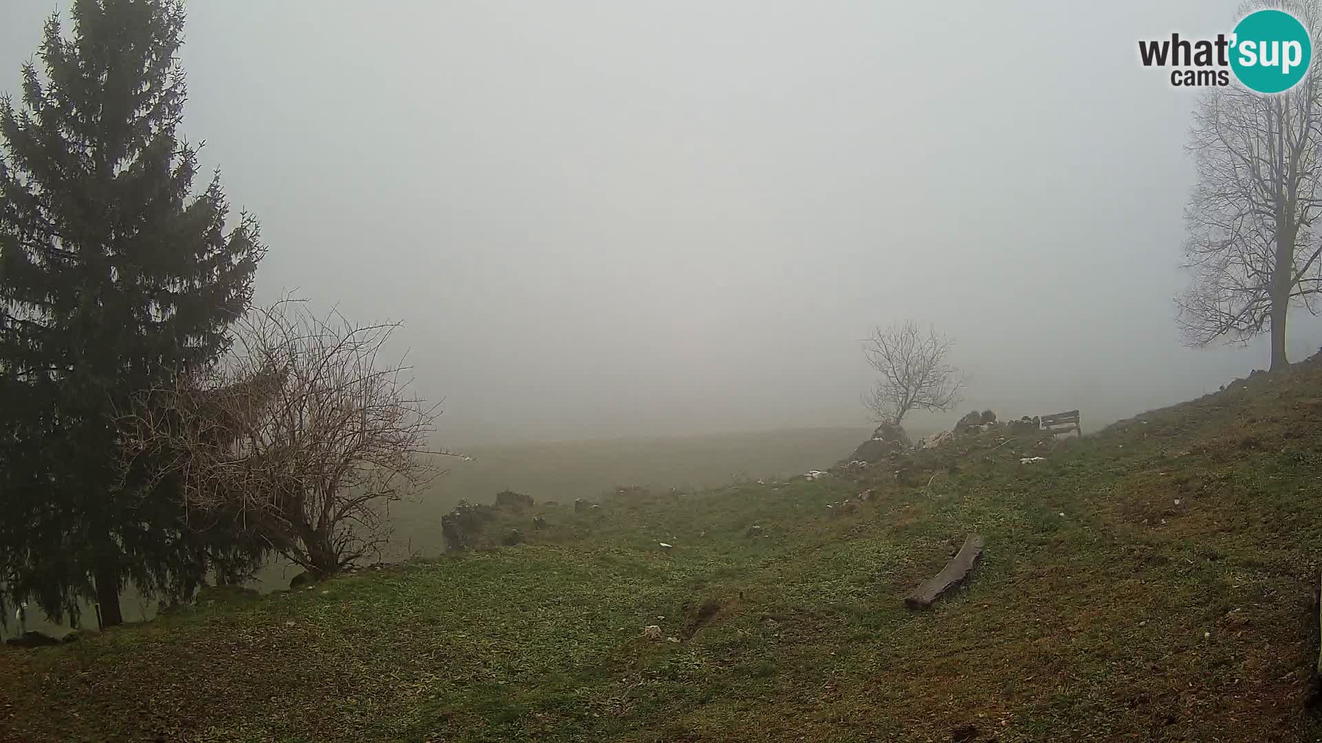 Slajka webam | Gorenja vas | Slovenia