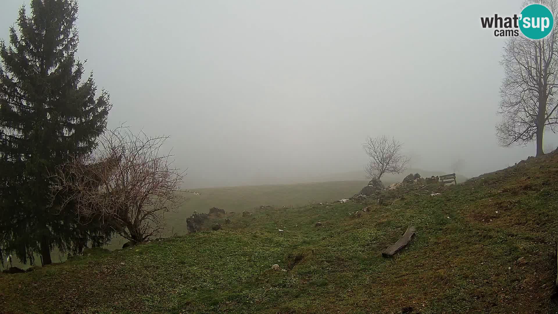 Slajka livecam | Gorenja Vas | Slovénie