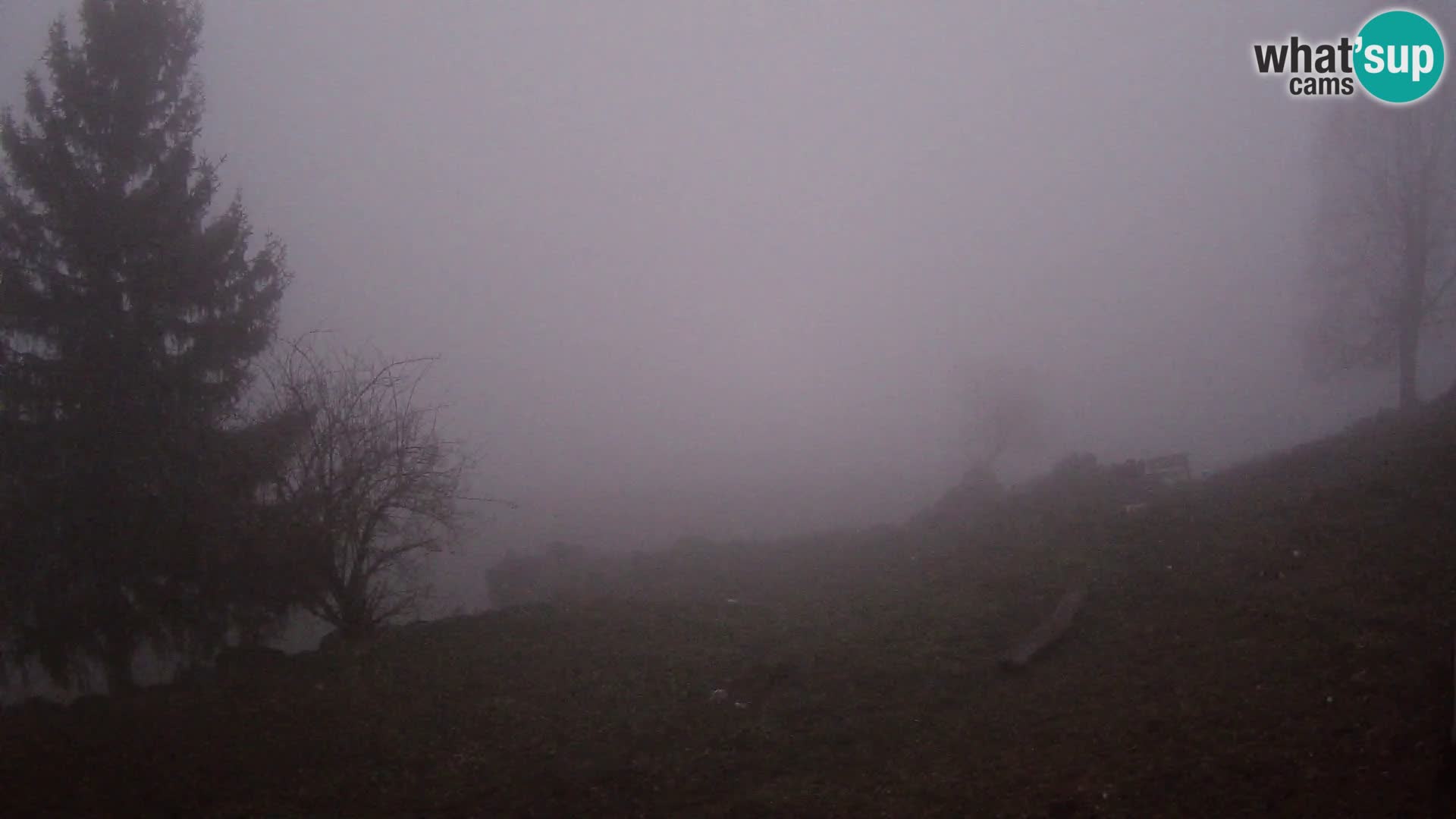 Slajka webam | Gorenja vas | Slovenia