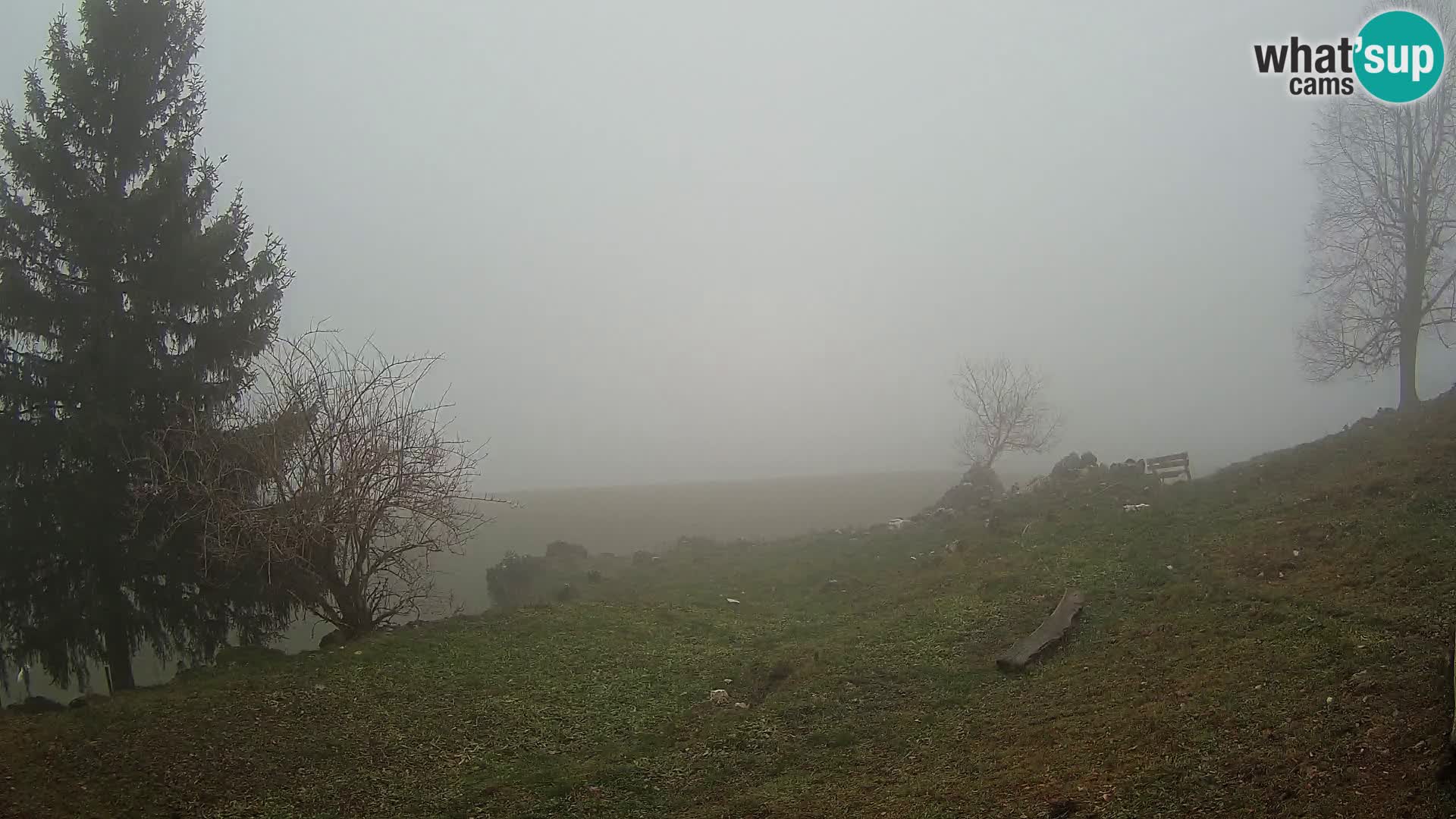 Slajka livecam | Gorenja Vas | Slovénie