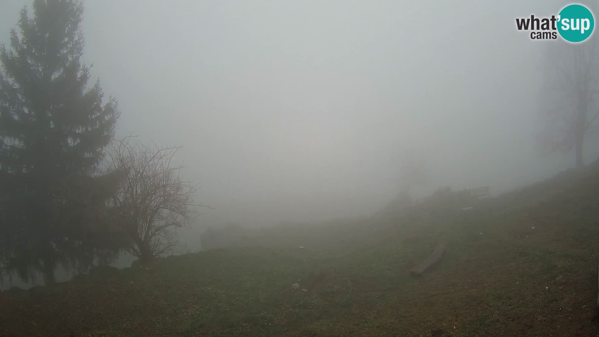 Slajka webcam | Gorenja Vas | Slowenien