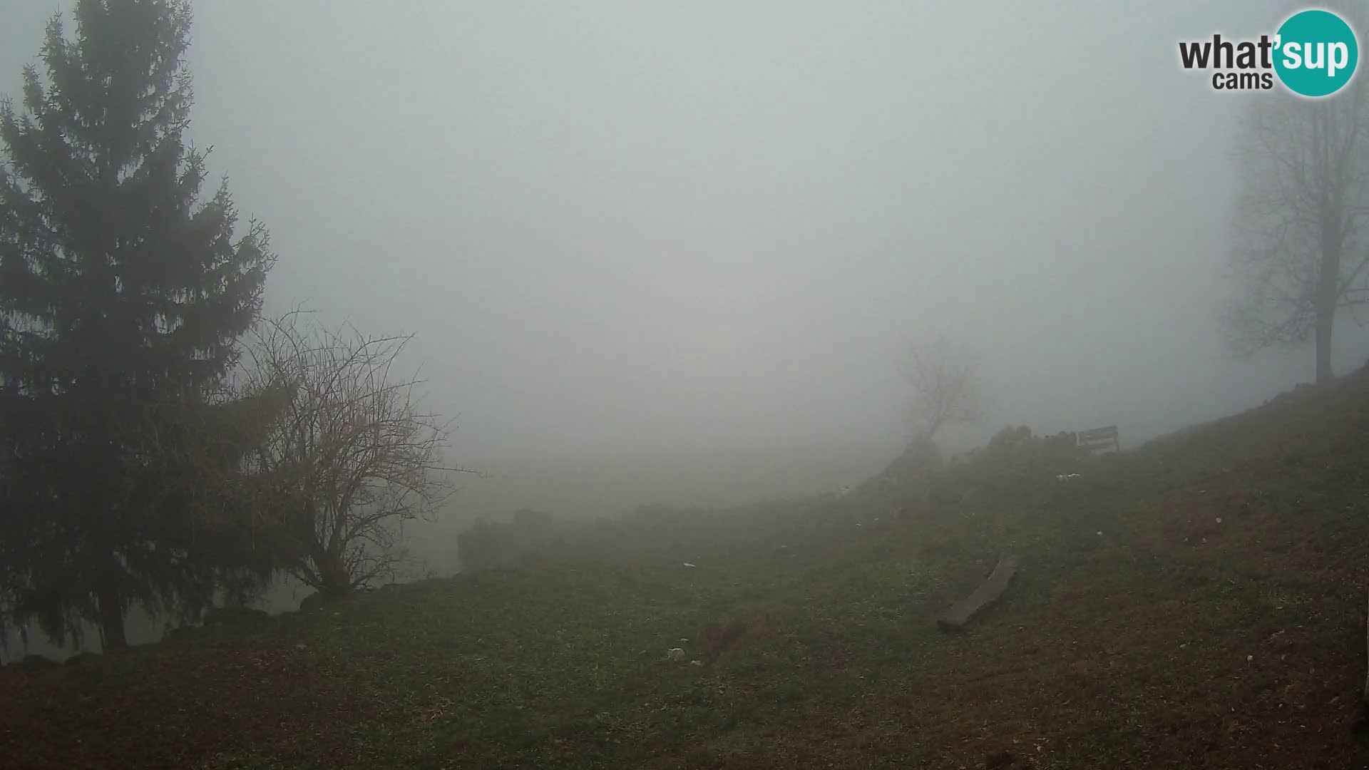 Slajka livecam | Gorenja Vas | Slovénie