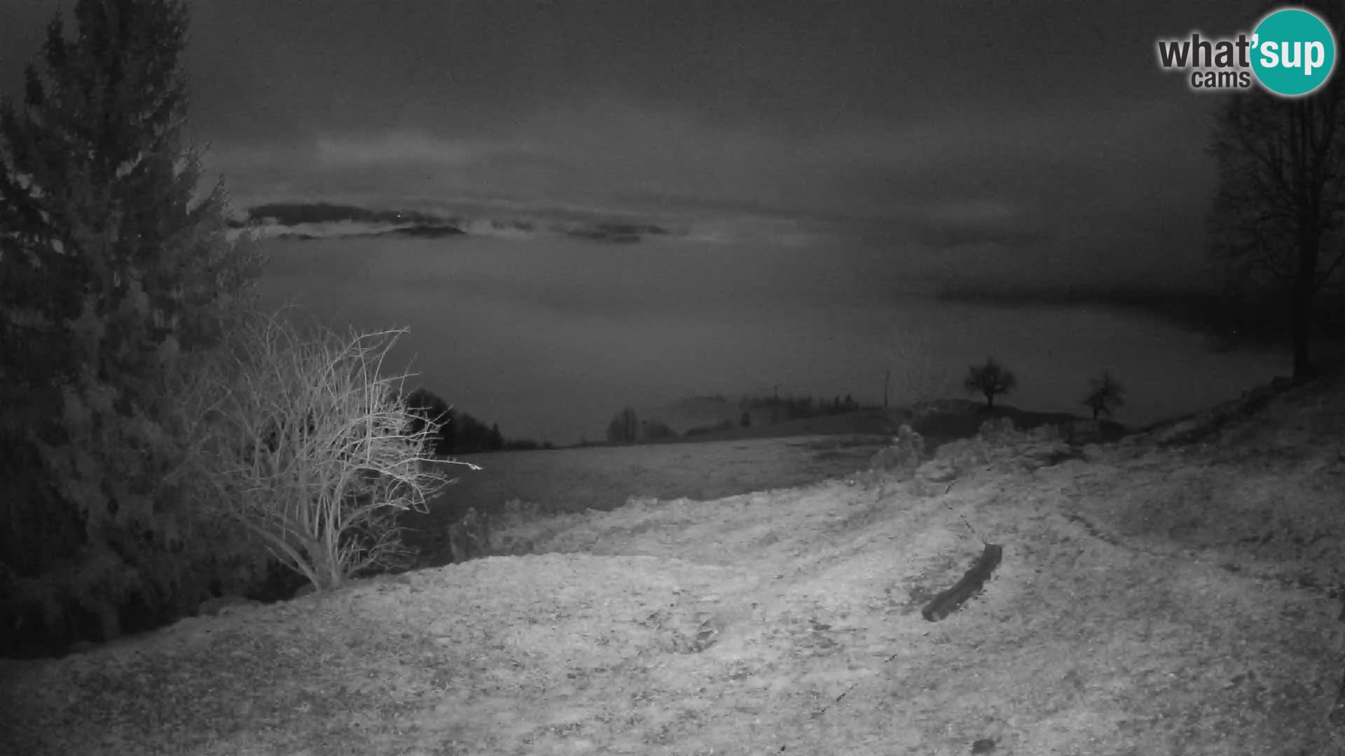 Slajka livecam | Gorenja Vas | Slovénie