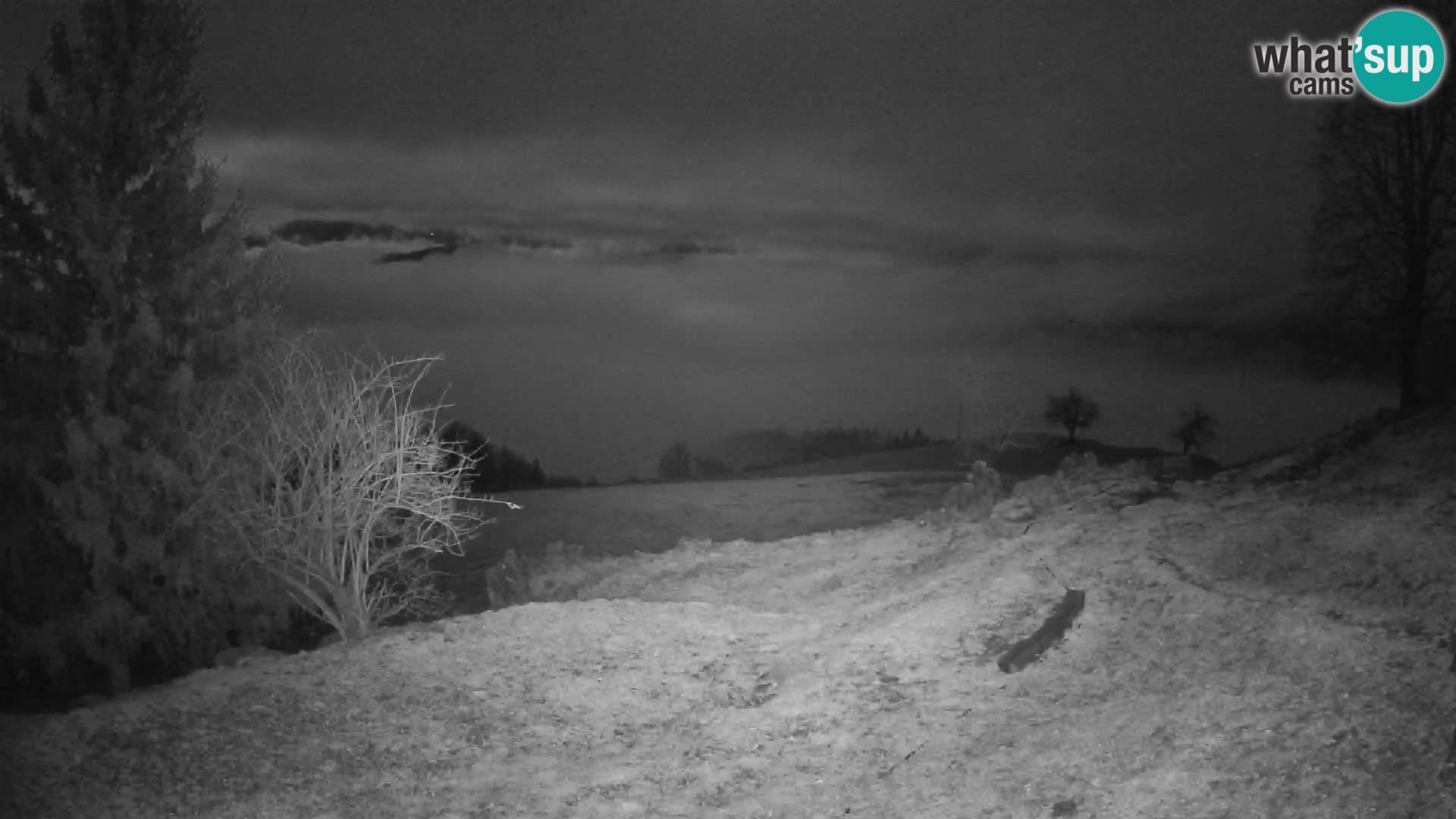 Slajka livecam | Gorenja Vas | Slovénie