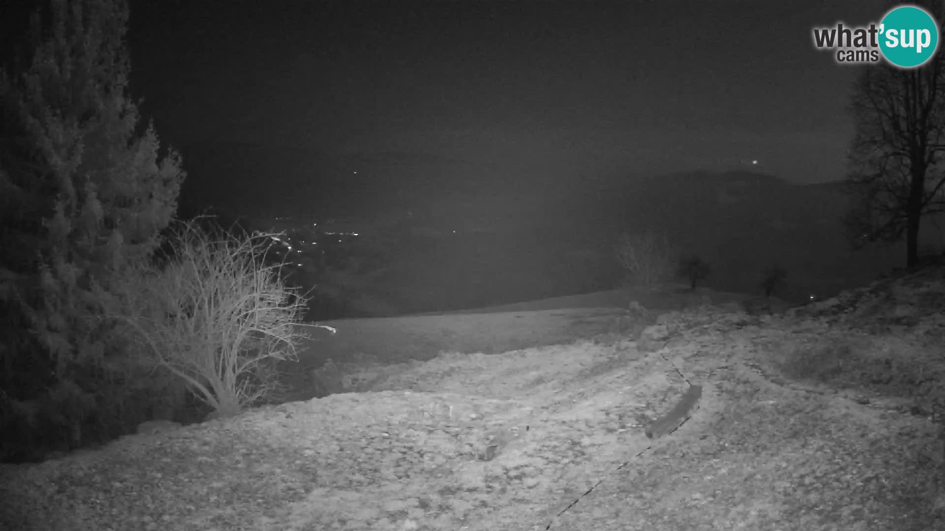 Slajka livecam | Gorenja Vas | Slovénie