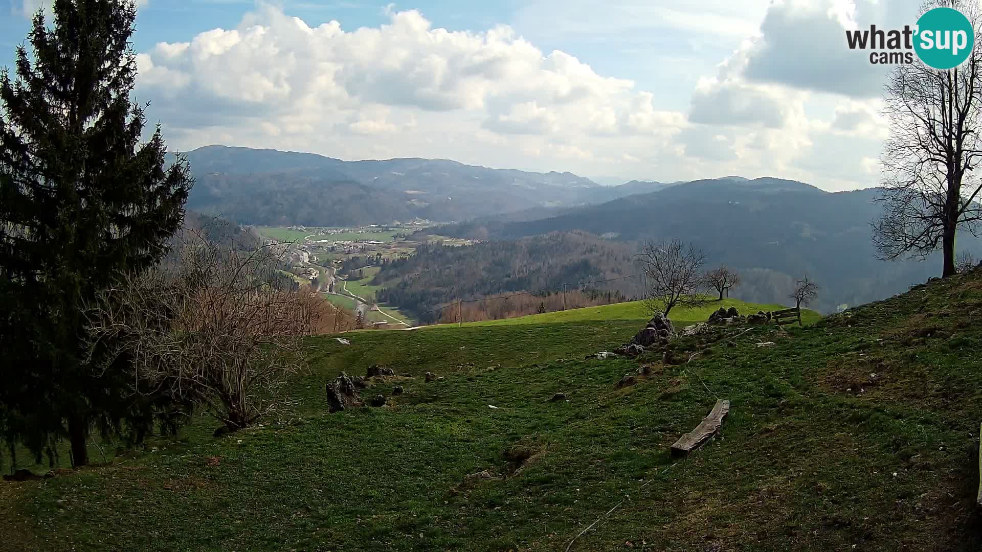 Slajka livecam | Gorenja Vas | Slovénie