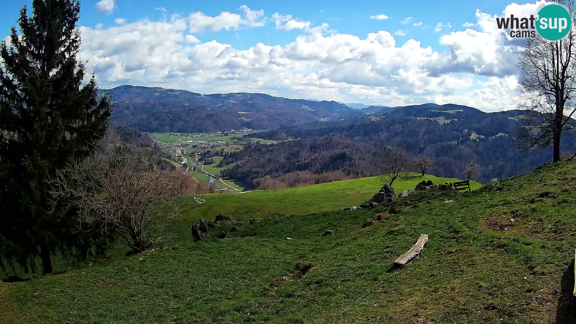 Slajka livecam | Gorenja Vas | Slovénie