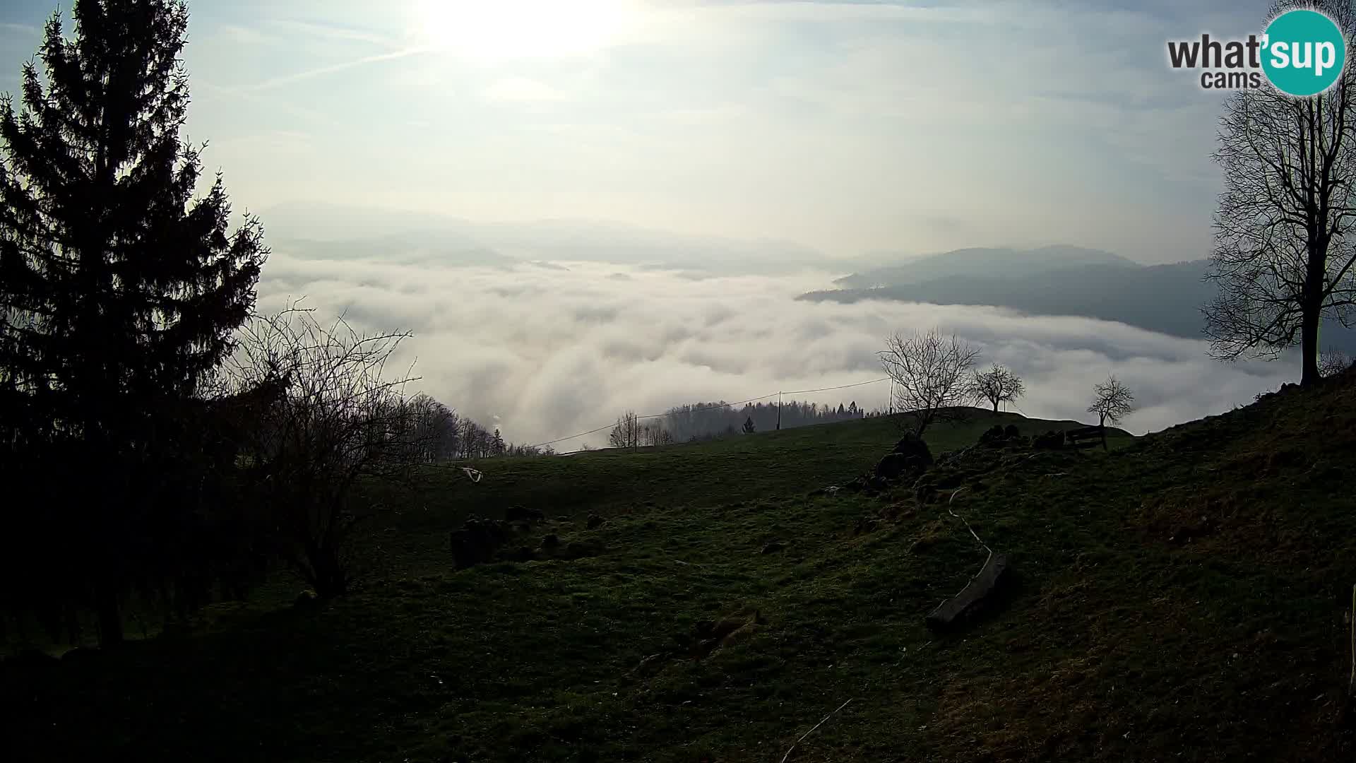 Slajka livecam | Gorenja Vas | Slovénie