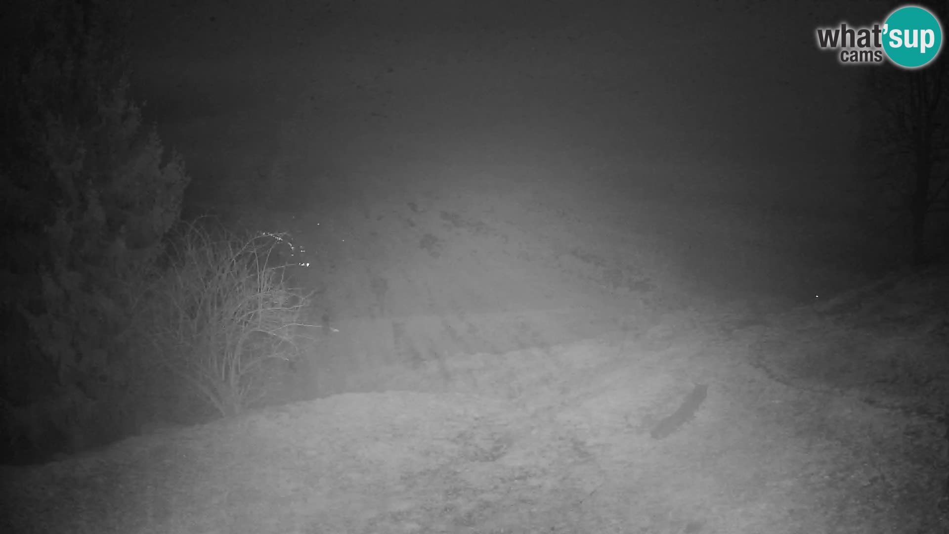 Slajka webam | Gorenja vas | Slovenia