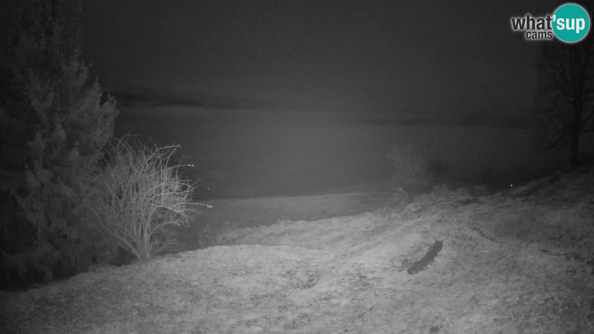 Slajka webcam | Gorenja Vas | Slowenien