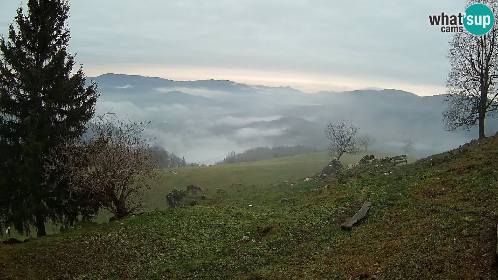 Slajka webam | Gorenja vas | Slovenia