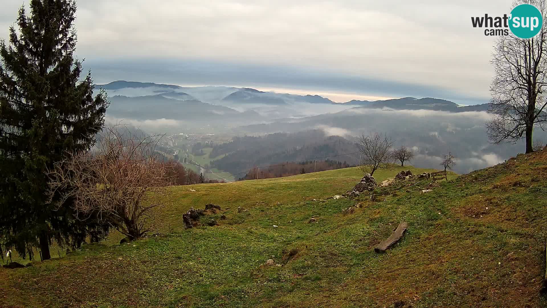 Slajka livecam | Gorenja Vas | Slovénie
