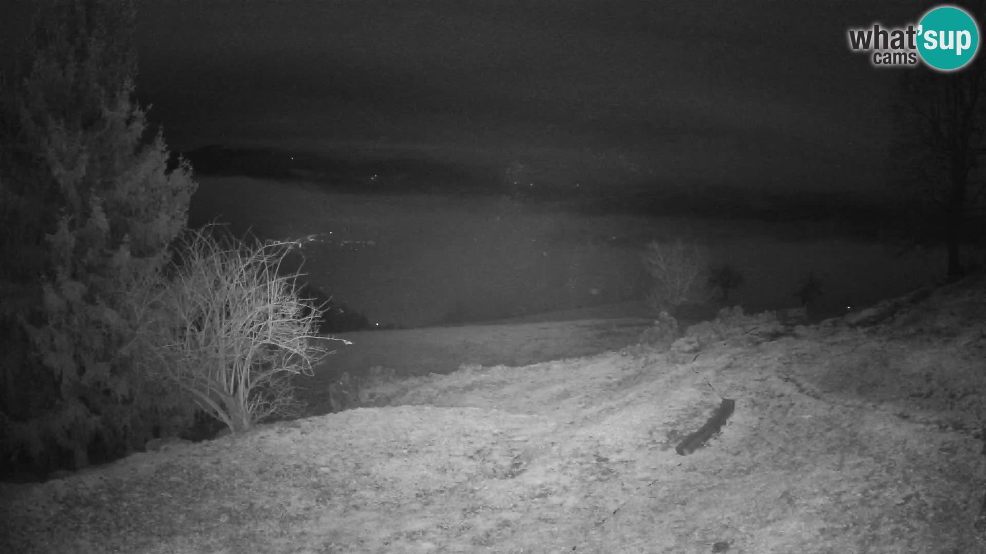 Slajka livecam | Gorenja Vas | Slovénie