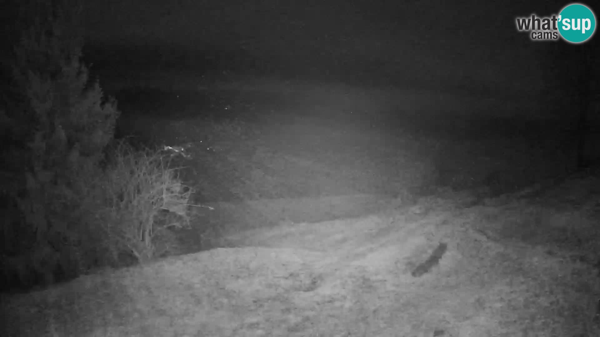 Slajka camera en vivo | Gorenja Vas | Eslovenia