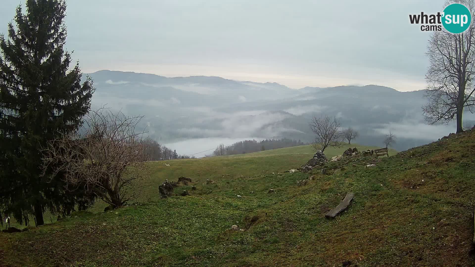 Slajka webam | Gorenja vas | Slovenia