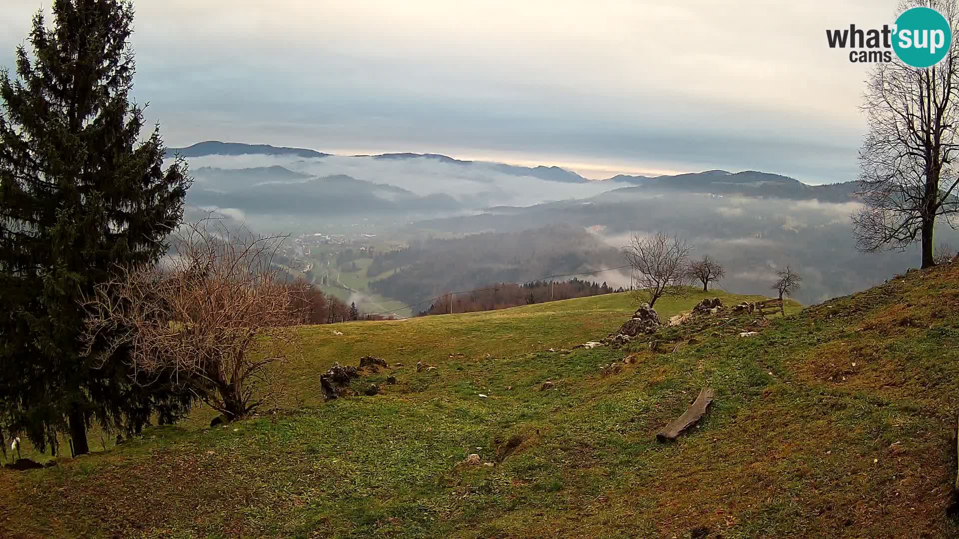 Slajka livecam | Gorenja Vas | Slovénie