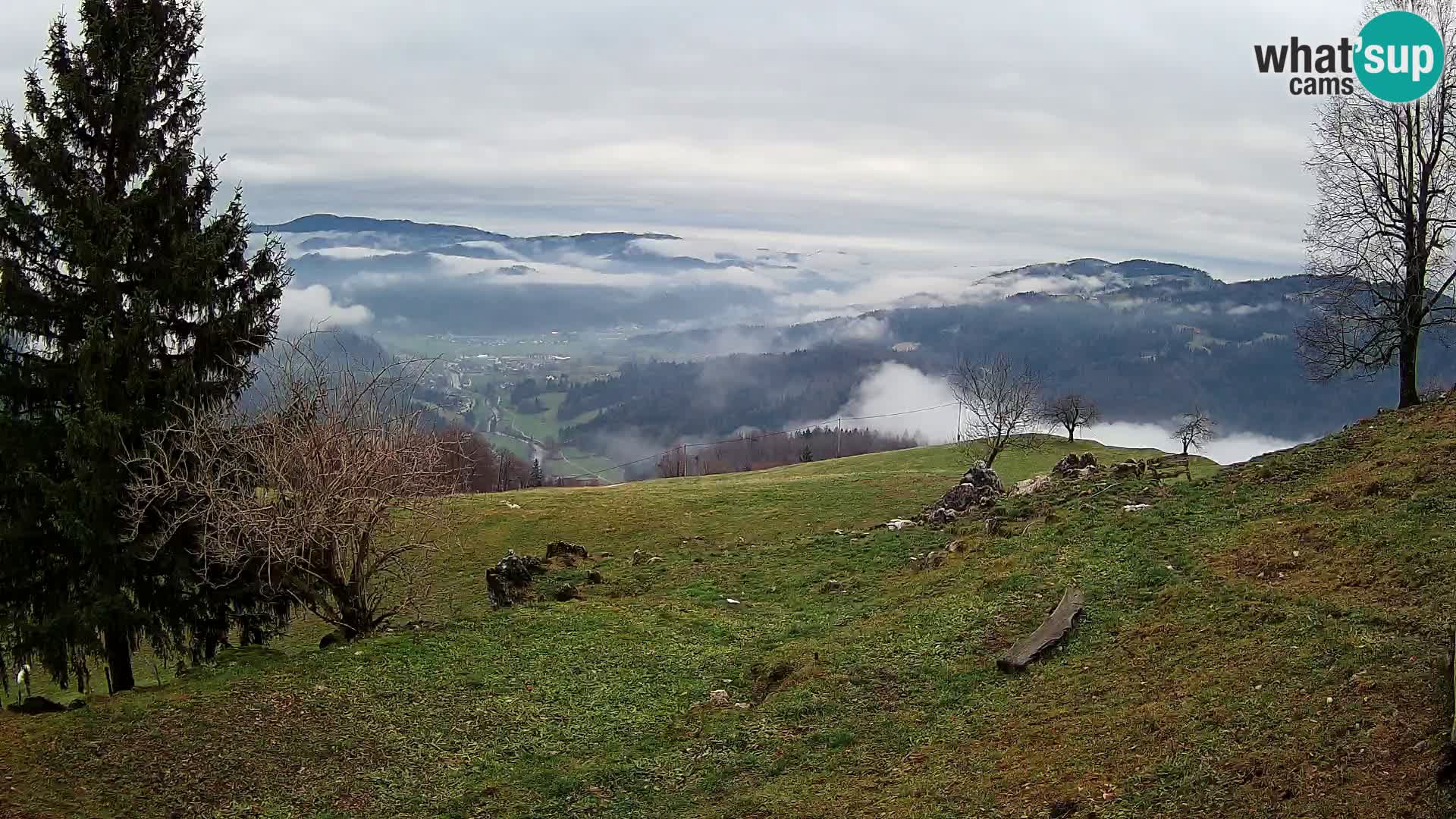 Slajka web kamera | Gorenja Vas | Slovenija