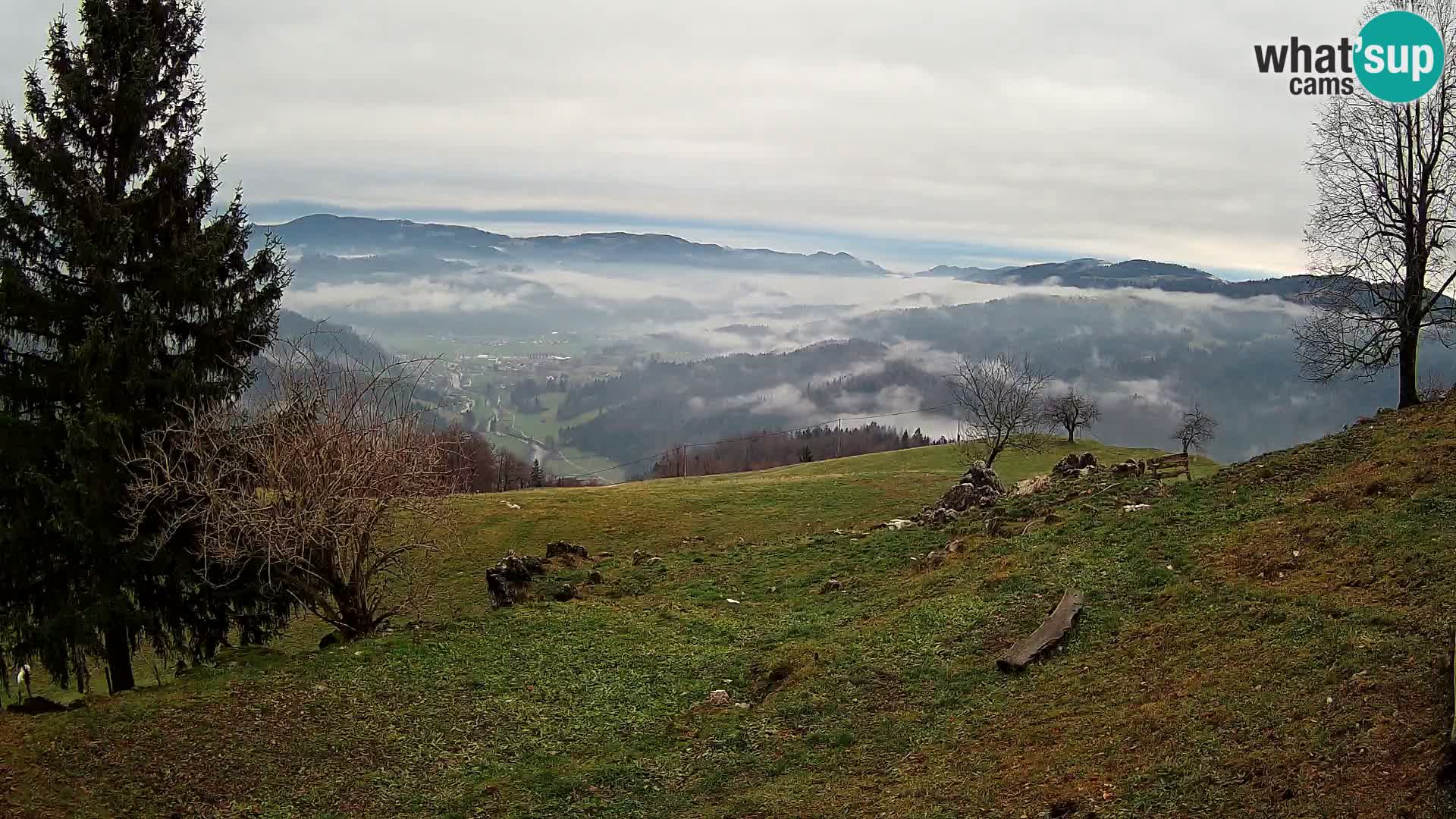 Slajka webcam | Gorenja Vas | Slowenien